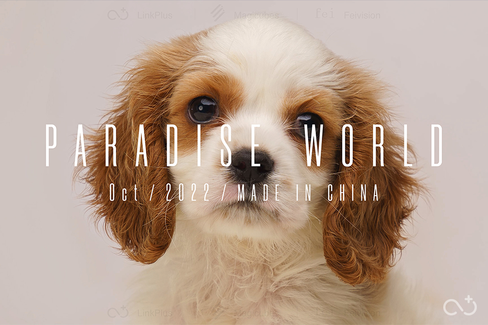 Paradise World