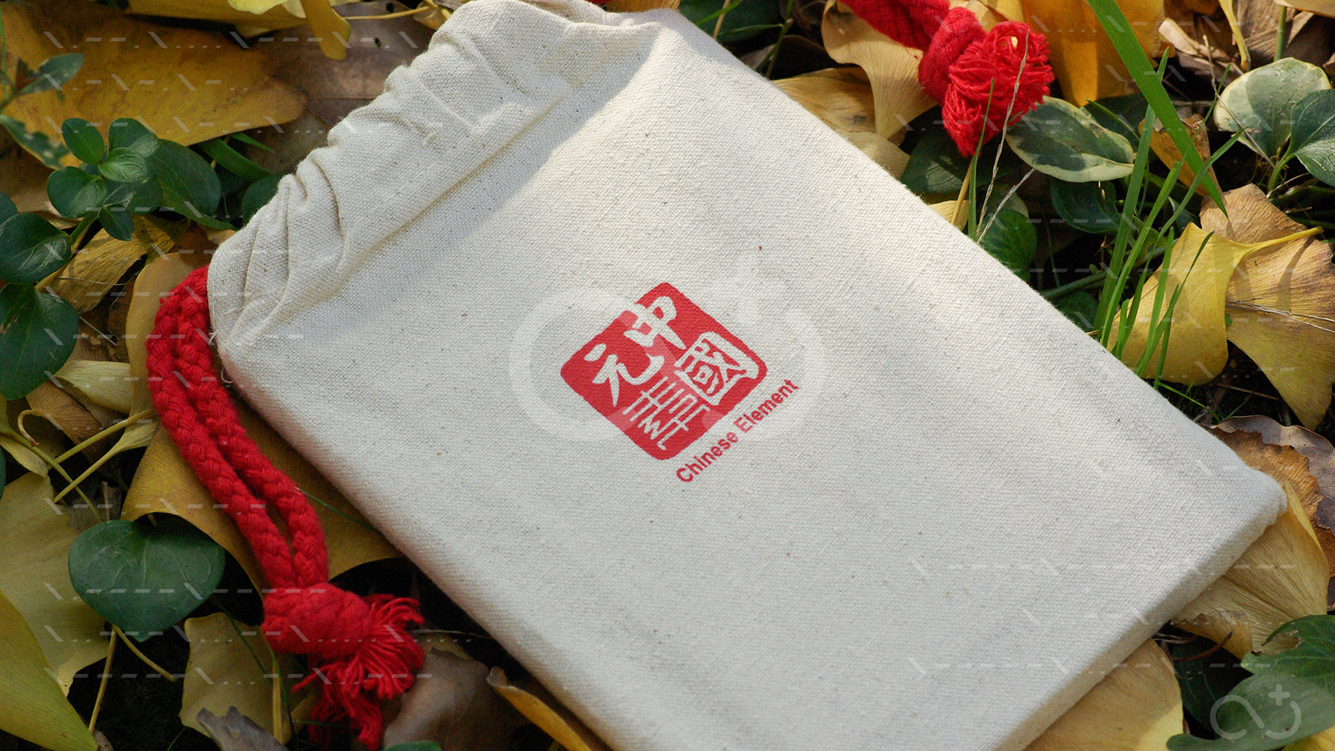 Sino-ADI-010