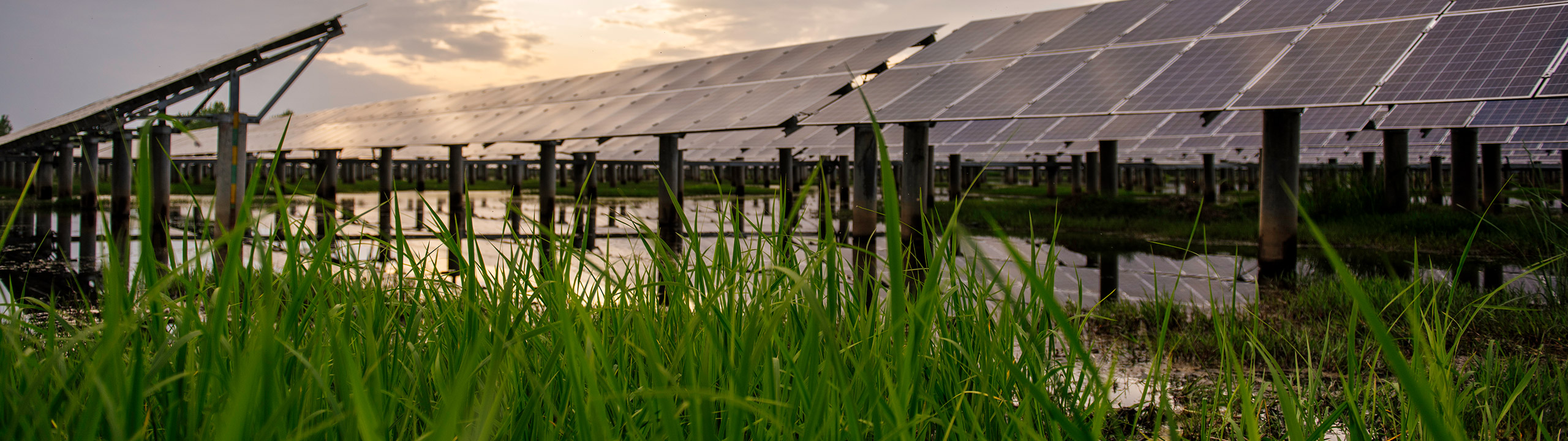 Green energy 新能源