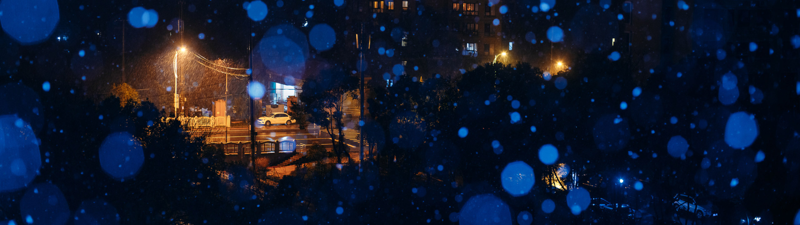 The Seasons ｜ 四季